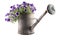 Zinc watering can with petunias