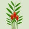 Zingiber spectabile, ginger flowers with leaves on green background.