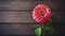 Zinnia Elegans Flower on Wood Background with Copy Space