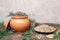 Zinnia flower seeds in a clay pot and nasturtium in a plate