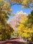 Zion Canyon Scenic Drive in Autumn