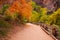 Zion Canyon Trail with Foliage Motion Blur