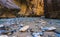 Zion narrow  with  vergin river in Zion National park,Utah,usa