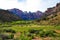 Zion national park