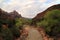 Zion National Park Landscape