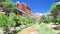 Zion National Park landscape in summer season