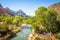 Zion National Park scenery with The Watchman peak and Virgin river in summer, Utah, USA