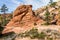 Zion National Park, USA.