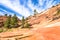 Zion National Park, USA.