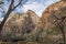 Zion national park, USA, Utah