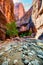 Zion National Park, Utah, USA, narrowing trail. Beautiful scenery, primeval nature, views of incredibly picturesque cliffs and