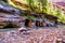 Zion National Park, Utah, USA, narrowing trail. Beautiful scenery, primeval nature, views of incredibly picturesque cliffs and