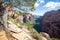 Zion Natural park in Utah USA. Beautiful view of valley and path for hikers. Amazing nature of USA