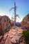 Zion valley sunrise landscape view with dry tree, Utah