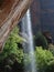 Zion Waterfall