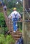 A Zip Line Bridge on Maui in the Hawaiian Islands