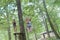 Zipline in between trees