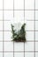 ziplock plastic bag with dried plants hanging on tile wall, earth