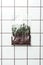 ziplock plastic bag with soil and plants hanging on tile wall, earth