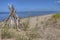 Zippel Bay State Park on Lake of the Woods, Minnesota