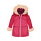 Zippered Parka or Coat with Furry Hood as Womenswear Vector Illustration