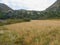 Zirbitzkogel - Panoramic view of alpine lake Winterleitensee surrounded by swamp, reed and fir forest near Zirbitzkogel