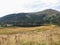 Zirbitzkogel - Panoramic view of alpine lake Winterleitensee surrounded by swamp, reed and fir forest near Zirbitzkogel