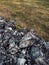 Zlatibor region landscape detail, dark rocks and dry grass as natural background