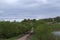 ZNAMENKA / LIPETSK, RUSSIA - MAY 09, 2017: the shepherd drives the herd of cows on a narrow bridge