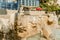 Zodiac fountain in old city jaffa. Historical place in israel