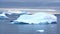 Zodiac among icebergs in a bay in Antarctica