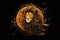 Zodiac Leo Symbol Leo the lion star sign The constellation of Leo is a sign of the leaders