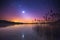 Zodiac light and the Milky Way on a beautiful night