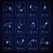 Zodiac sign all horoscope constellation stars for mobile application vector template