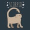 Zodiac sign scorpio; cat cartoon character stylized as zodiac sc