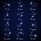 Zodiac signs. Vector astrology horoscope symbols or zodiacal icons
