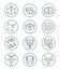 Zodiac vector astrology vector line icons. Aries and taurus, gemini and cancer, leo and virgo, libra and scorpio