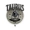 Zodiacal sign of Taurus. Astrology