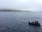 Zodiak off the ship at Macquarie island, Australia