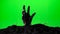 Zombie hand emerging from the ground grave. Halloween concept. Green screen. 015