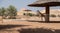 Zoo in Al Ain, United Arab Emirates. Giraffe detail.