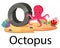 Zoo animal alphabet O for Octopus with the cute animal