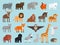 Zoo animals flat icons