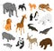 Zoo Animals Isometric Set