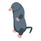 Zoo mole icon isometric vector. Cute animal