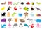 Zoo pet wild animal set. Cute character. Ant, butterfly, spider, ladybug, bee, jaguar, toucan, dog, hippopotamus, elephant, sloth,