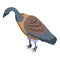 Zoo vulture icon isometric vector. Evil bird