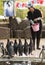 Zoo worker feeds penguins