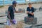 Zoologist collecting newborn turtles at The Project Tamar