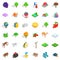 Zoology icons set, isometric style